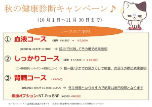 2020秋壁ポスター猫_page-0001