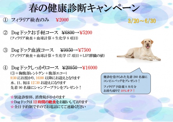 春の健康診断犬ポスター_page-0001
