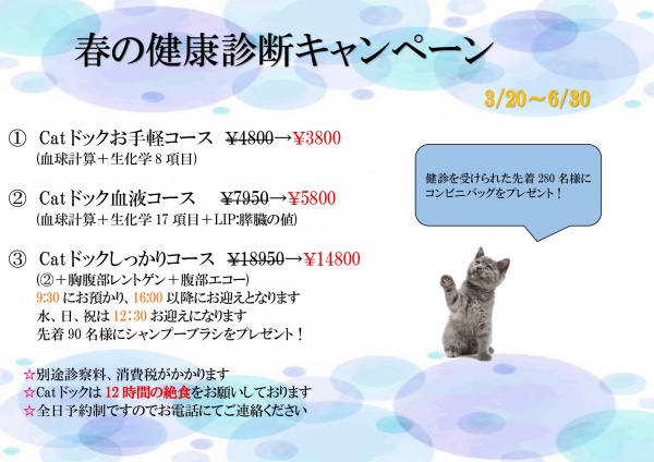 春の健康診断猫ポスター_page-0001